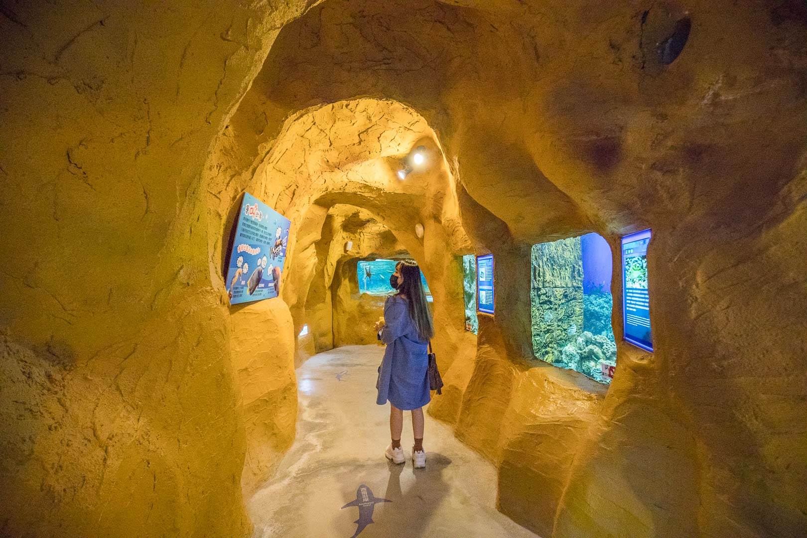 新北,萬里,萬里景點,野柳,野柳地質公園,野柳海洋世界,高家繡球花田,駱駝峰,下寮海灘,龜吼海灘,抹茶小山丘,淺沐道休閒農莊