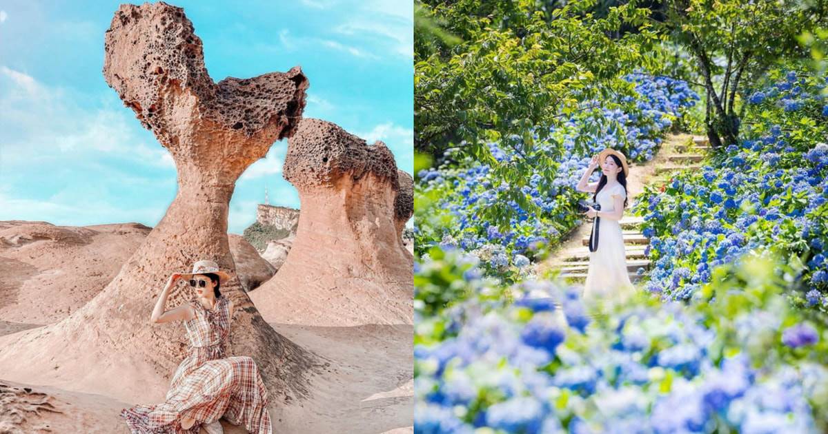 萬里,野柳地質公園,女王頭,野柳海洋世界,高家繡球花田,下寮海灘,龜吼漁港,新北,萬里景點,野柳,駱駝峰,龜吼海灘,抹茶小山丘,淺沐道休閒農