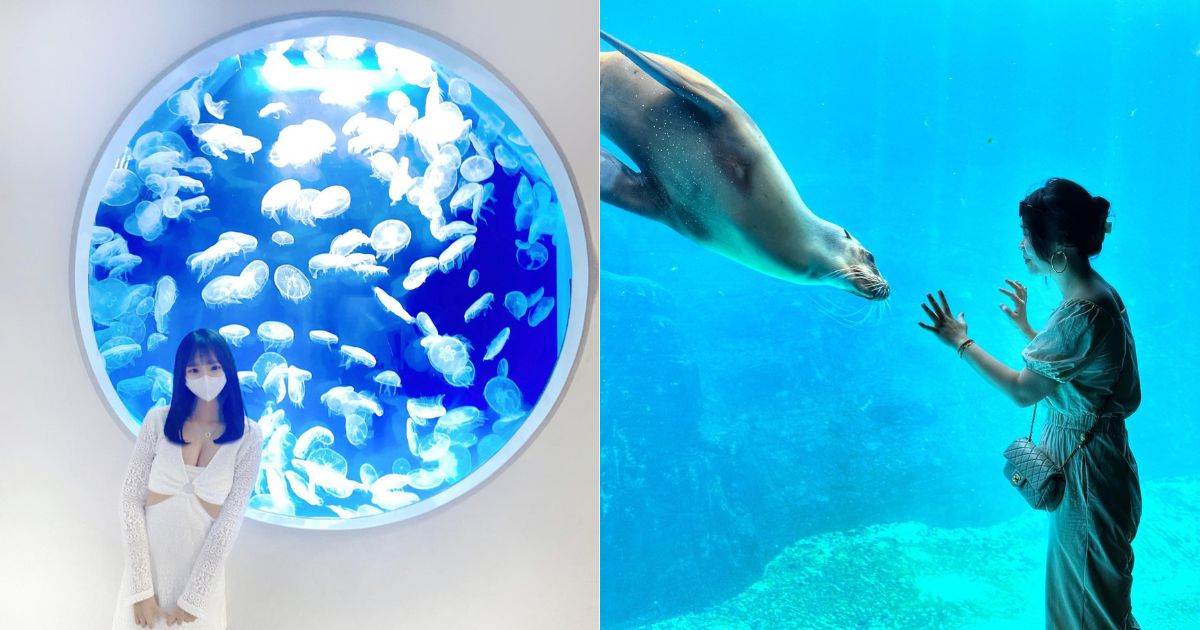 水族館,海底隧道,國立海洋生物博物館,Xpark,遠雄海洋公園,野柳海洋世界,澎湖水族館,全台,海洋生物,海底世界,海生館,小琉球海洋館,潮境智能海洋館,全台水族