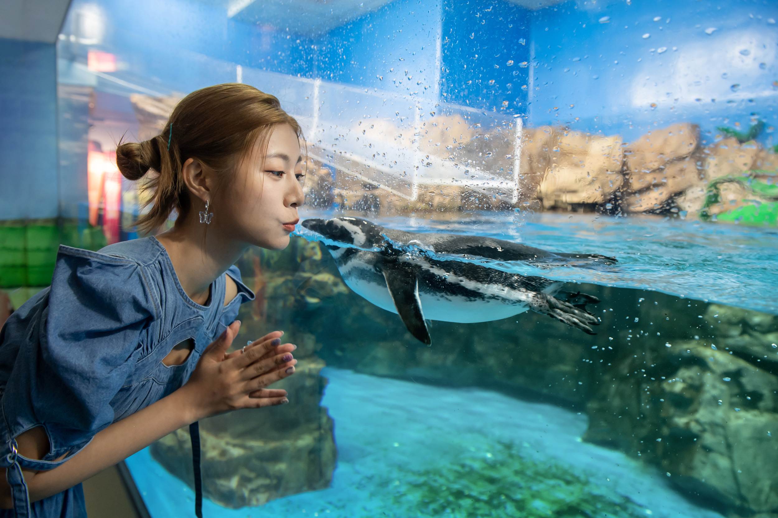 Xpark,七夕祭,仙台七夕祭,吹流,短冊,動物互動體驗,Xrun!,桃園,七夕,日本七夕,水族館,銀河七夕祭,期間限