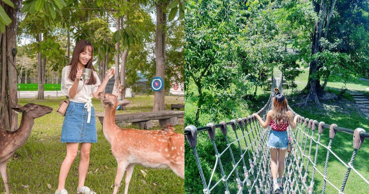 台東森林公園,台東美術館,知本國家森林遊樂區,富山漁業資源保育區,鹿野梅花鹿公園,自然生態,親子景點,台東,台東親子景點推薦,知本森林遊樂區,富山護漁區,台東景