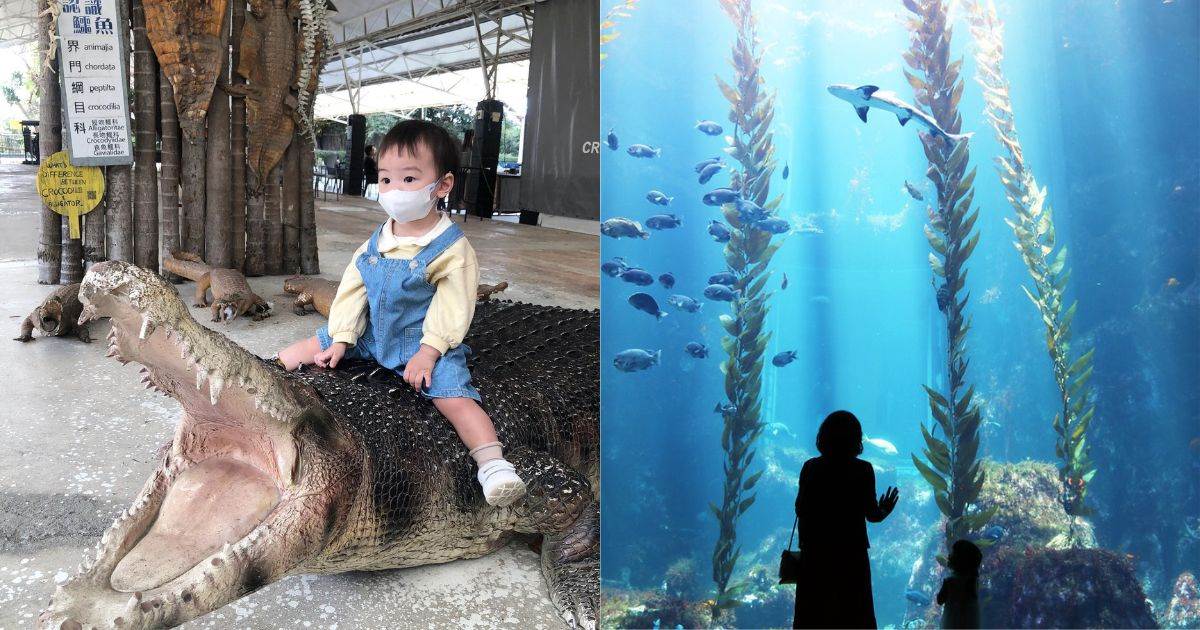 屏東親子景點,不一樣鱷魚生態農場,屏東國立海洋生物博物館,潮州鐵道園區,墾草趣親子園區,林後四林平地森林園區,九如全人照顧整合支援中心,屏東,農場,屏東海生館,九如全人照顧整合支援中