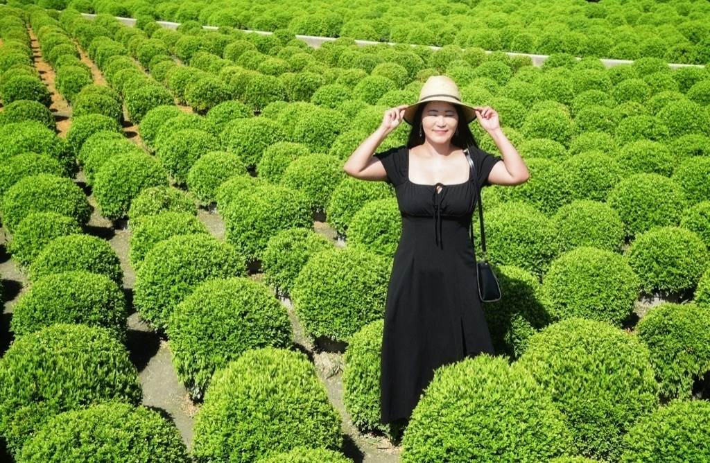 彰化,彰化景點,彰化人氣景點,古生物奇幻樂園,恐龍景點,成美文化園,正實親子農場,田尾波波草,溪湖糖廠,親子景點,台灣優格餅乾學院,玻璃媽祖廟,玻璃廟,台灣玻璃館,觀光工廠,芳苑海空步道
