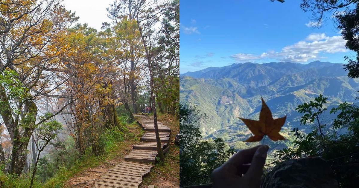 山毛櫸國家步道,北插天山,北得拉曼巨木步道,槭林步道,霞喀羅古道,馬那邦山,石門水庫,秋季限定,賞楓步道,山毛櫸步道,馬那邦