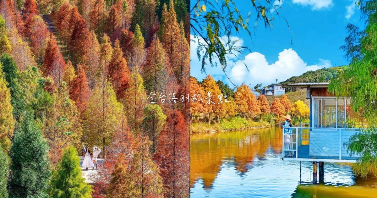全台,落羽松,落羽松地圖,北部落羽松,中部落羽松,南部落羽松,東部落羽松,原住民文化主題公園,永公路500巷,月眉人工濕地生態公園,長庚養生文化村,北埔六塘落羽松森林,三灣落羽松,大肚落羽松,太平苗圃落羽松,大村落羽松,堀頭里28落羽松園區,迷霧松境,六甲落羽松,三層坪落羽松,三星落羽松,雲山水夢幻湖,星巴克花蓮理想門市,蜊埤湖,青青食尚花園會館