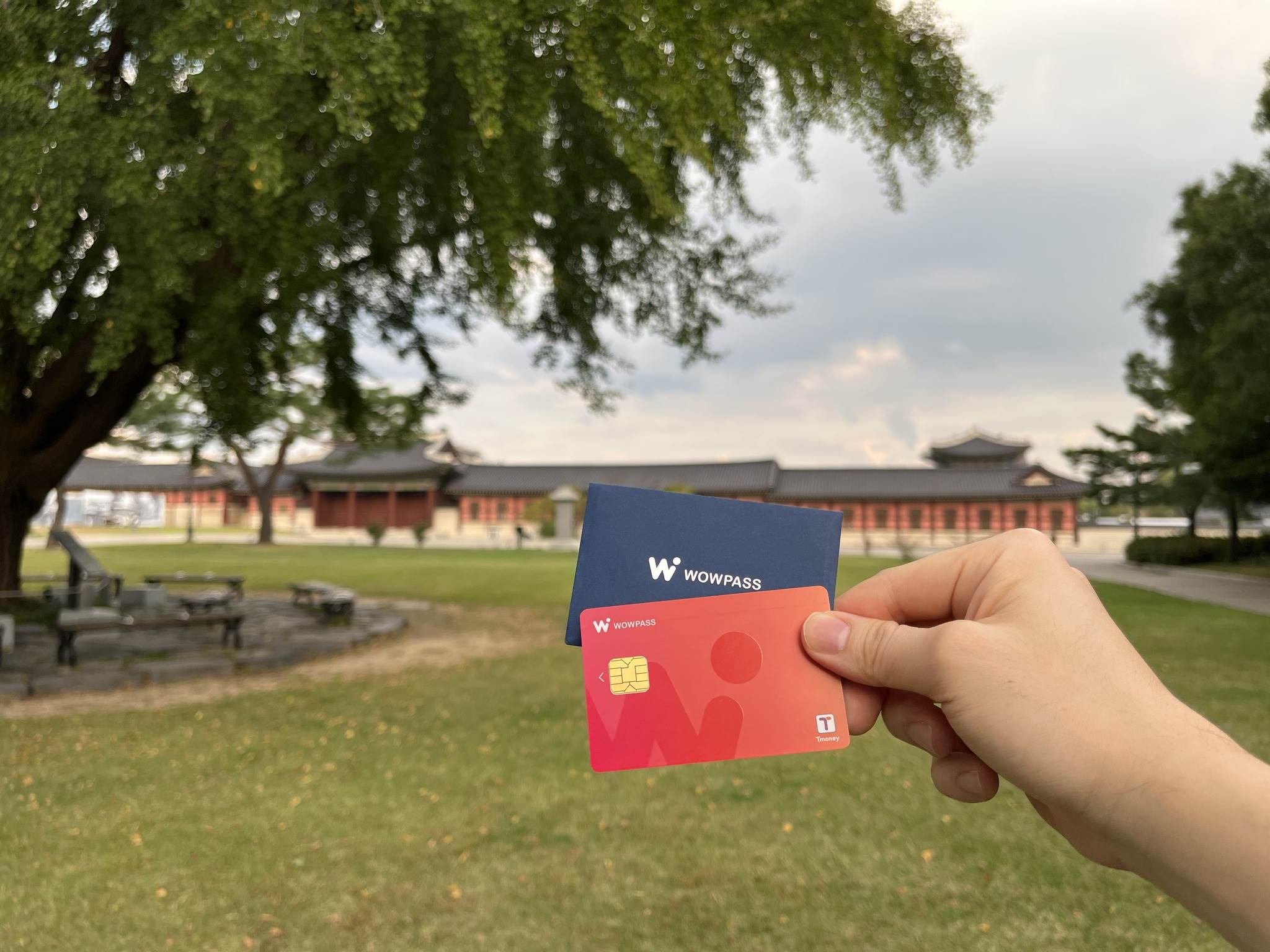 韓國交通卡攻略｜自助必看！8款韓國交通卡介紹、購買及使用方法一次看-輕旅行