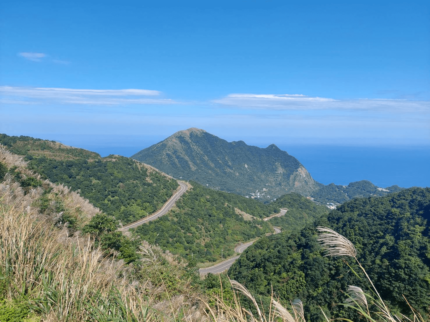 新北,芒草,芒花,九份,基隆山步道,不厭亭,報時山步道