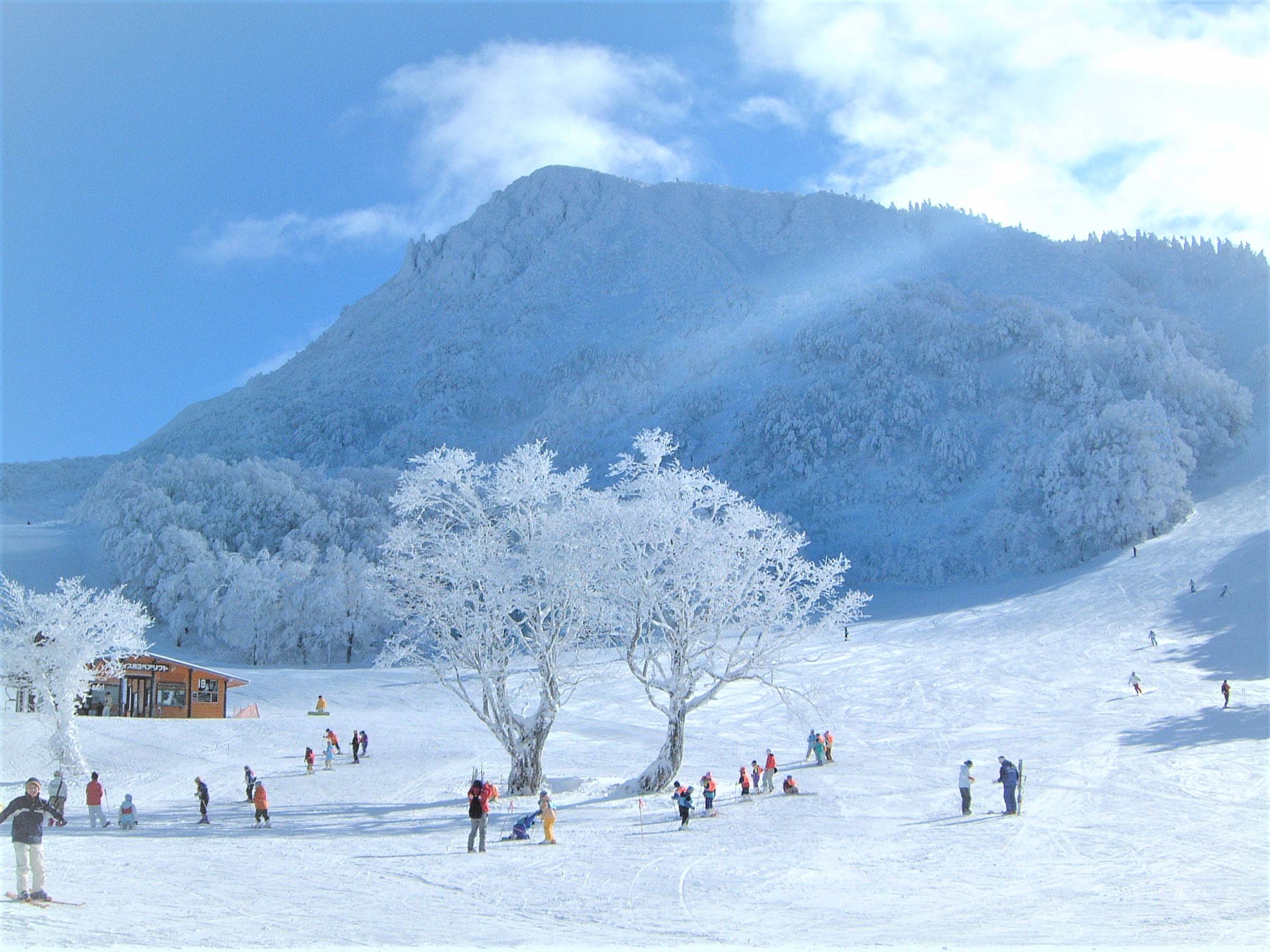 日本,滑雪,日本滑雪場,日本滑雪場推薦,北海道滑雪場推薦,二世古,新雪谷渡假村,新雪谷 Annupuri,二世古MOIWA滑雪場,留壽都滑雪場,富良野滑雪場,星野TOMAMU渡假村滑雪場,朝里川溫泉滑雪場,札幌手稻滑雪場,札幌藤野Fus雪場,Kiroro滑雪場,安比高原滑雪場,藏王溫泉滑雪場,Dynaland,高鷲Snow Park,HAKUBA VALLEY 白馬八方尾根滑雪場,白馬岩岳滑雪場,草津溫泉滑雪場,GALA湯澤滑雪場,豬苗代滑雪場