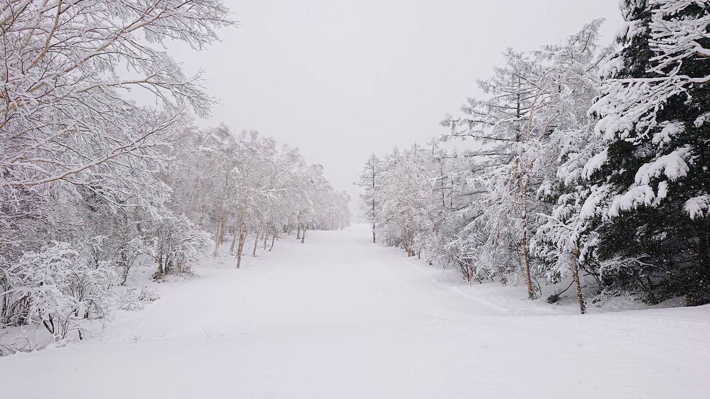 日本,滑雪,日本滑雪場,日本滑雪場推薦,北海道滑雪場推薦,二世古,新雪谷渡假村,新雪谷 Annupuri,二世古MOIWA滑雪場,留壽都滑雪場,富良野滑雪場,星野TOMAMU渡假村滑雪場,朝里川溫泉滑雪場,札幌手稻滑雪場,札幌藤野Fus雪場,Kiroro滑雪場,安比高原滑雪場,藏王溫泉滑雪場,Dynaland,高鷲Snow Park,HAKUBA VALLEY 白馬八方尾根滑雪場,白馬岩岳滑雪場,草津溫泉滑雪場,GALA湯澤滑雪場,豬苗代滑雪場