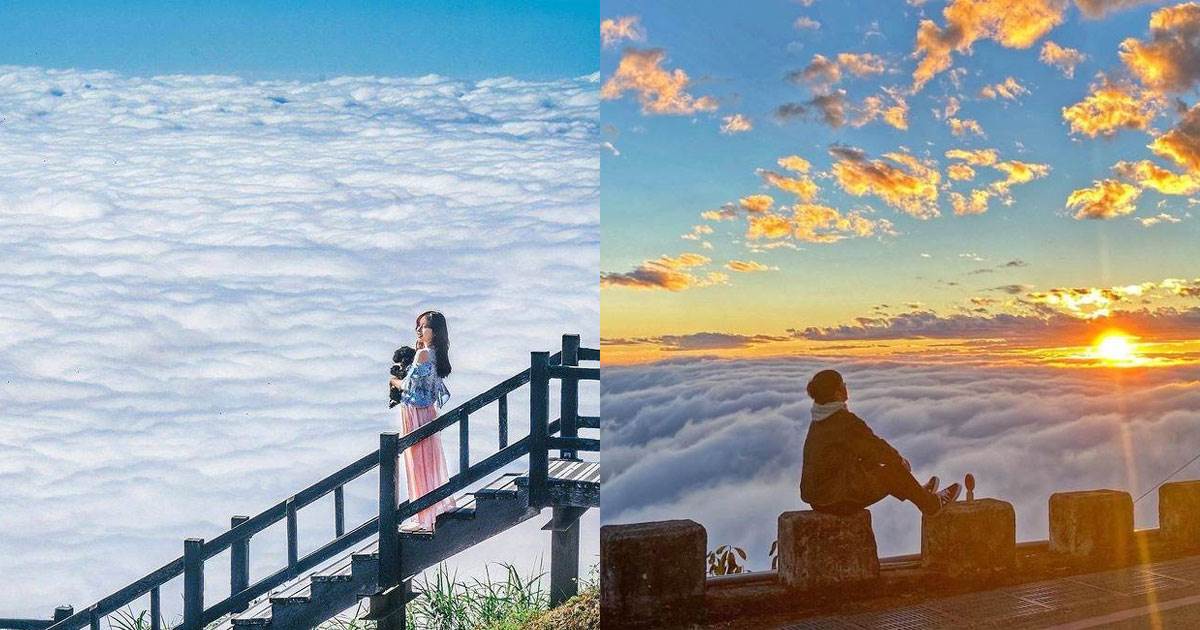 嘉義,阿里山,阿里山雲海,太平雲梯,碧湖觀景台,二萬坪車站,小笠原山觀景平台,頂石棹步道,隙頂二延平步道