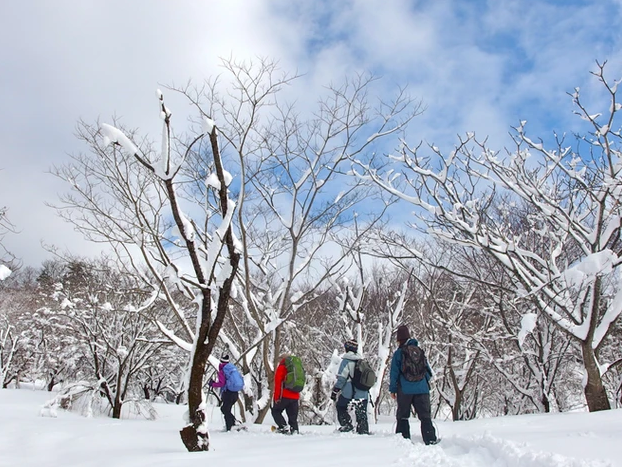 日本,關西,城崎溫泉,豐岡,神鍋高原,圓山川公苑,神鍋高原休息站,日本賞雪