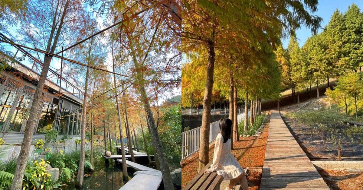 落羽松,落羽松景觀餐廳,台北,陽明山,想陽明山,The Café By 想陽明山,新竹,大樂之野景觀餐廳,苗栗,雲水度假森林,台中,澄石享自在,鹿寮享自在,MITAKA 3e CAFE,松之戀,普羅旺斯庭園餐廳,彰化,菁芳園,花蓮,松湖驛站