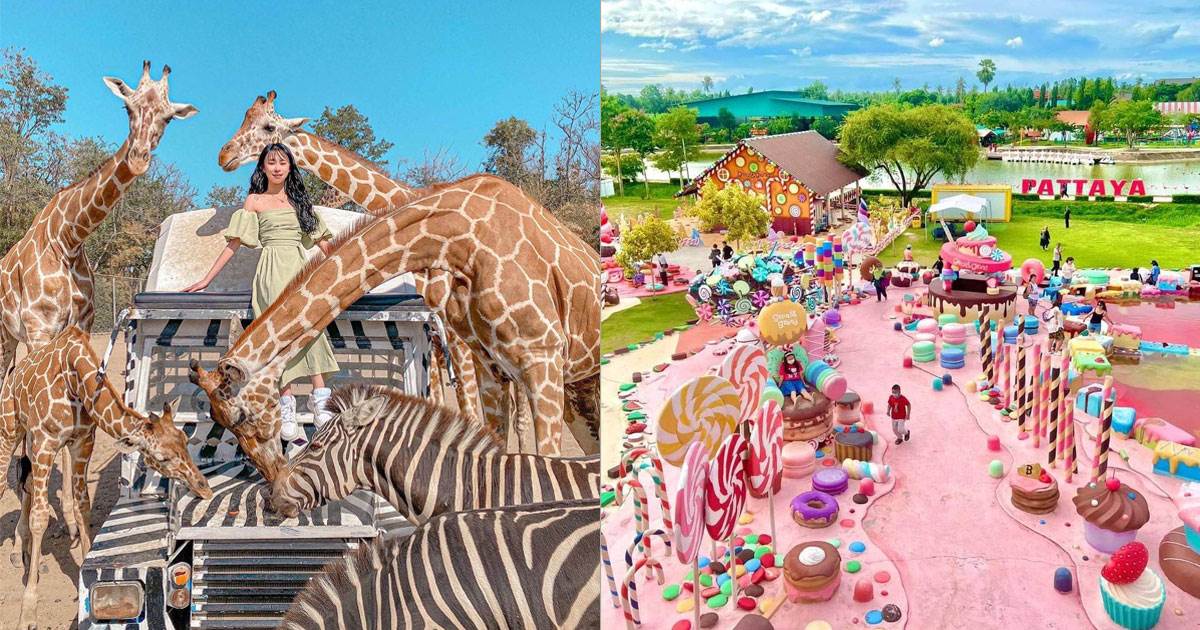 曼谷,北碧,Safari Park Kanchanaburi,北碧府野生動物園,Bubble in the forest,喬德夜市,JODD FAIRS,火山排骨,鄭王廟,PATTAYA,Columbia Pictures Aquaverse,哥倫比亞影業主題樂園,芭堤雅甜品主題樂園
