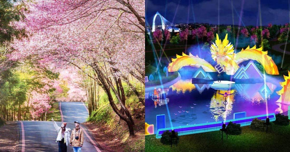 台中走春景點,過年走春推薦,落羽松,漁人町日本星光市集,台中三井 LaLaport,台中誠品480,唐吉訶德,彩虹眷村,水湳中央公園,后里泰安·羽粼落羽松,麗寶樂園,新田步道,武陵農場,福壽山農場,長崎蛋糕阪神本鋪,天子舒芙蕾,今日蜜麻花之家,Mamonaku Cafe,2025台中景點推薦