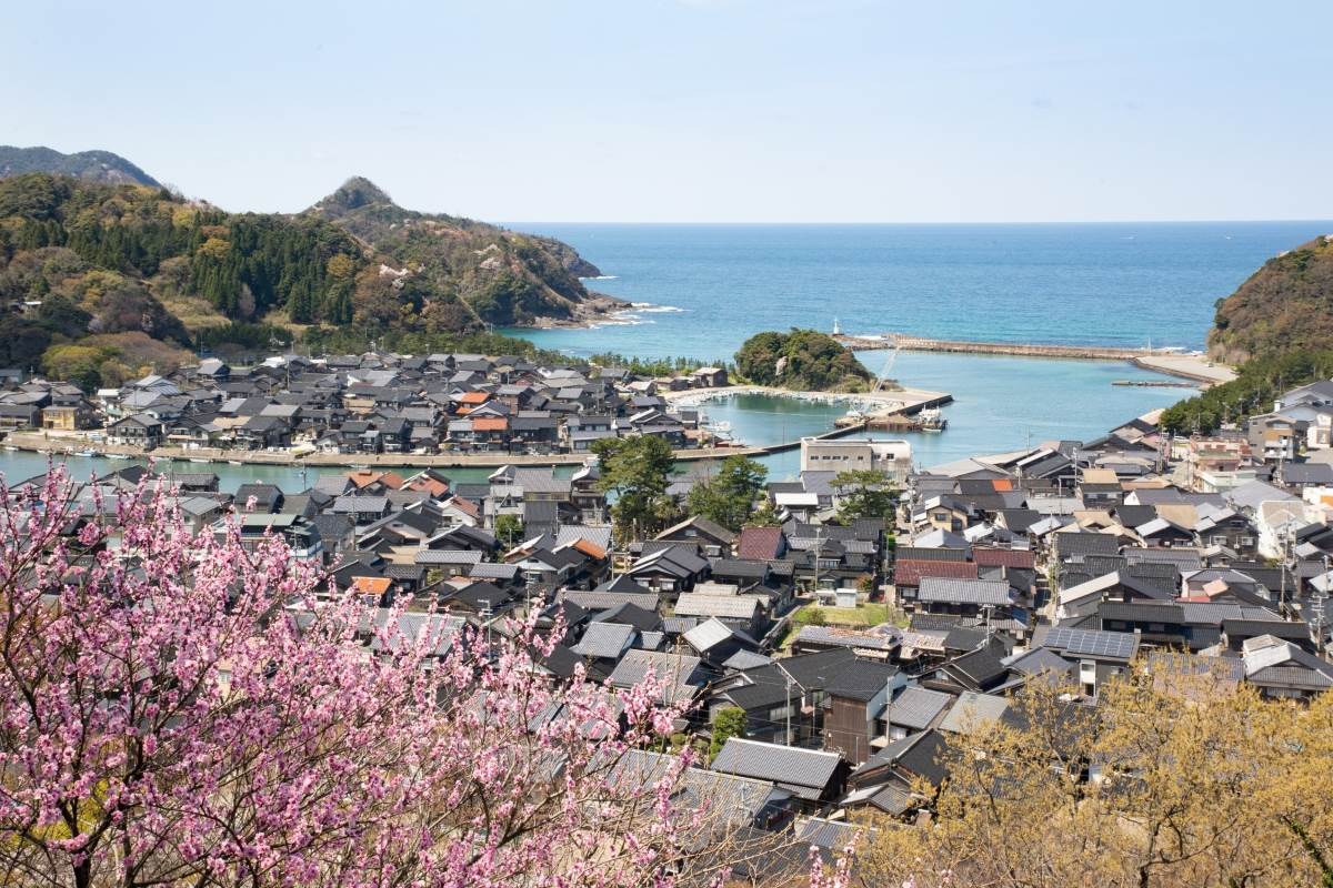 日本,關西,兵庫,豐岡,竹野海岸,貓崎半島,日本賞櫻,日本景點推薦
