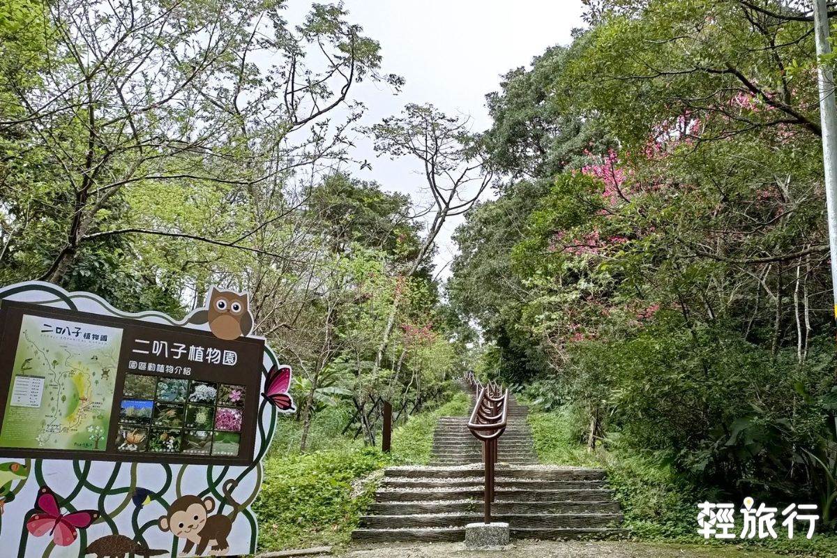 新北,新店,安坑,安坑輕軌,安坑輕軌一日遊,貓谷,貓咪咖啡廳,新店貓咪咖啡廳,十四張歷史公園,陽光運動公園,安康花市,布佬廚房,二叭子植物園區,探尋咖啡,新店景點,新店美食推薦,新店安坑輕軌,安坑景點推薦,新北貓咪咖啡廳,安坑景點,新店安坑美食推薦,潤濟宮,亂舞藝場,螢火蟲,新北景點