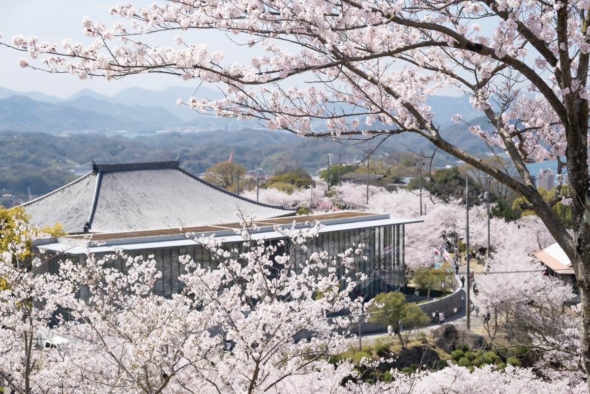 日本,廣島,櫻花,賞櫻,世羅高原農場,世羅甲山交流之里,今高野山,千光寺公園,上野公園,筆影山‧龍王山,塔之峰千本櫻,住吉堤防步道,比治山公園,御手洗天滿宮,日本櫻花,廣島景點