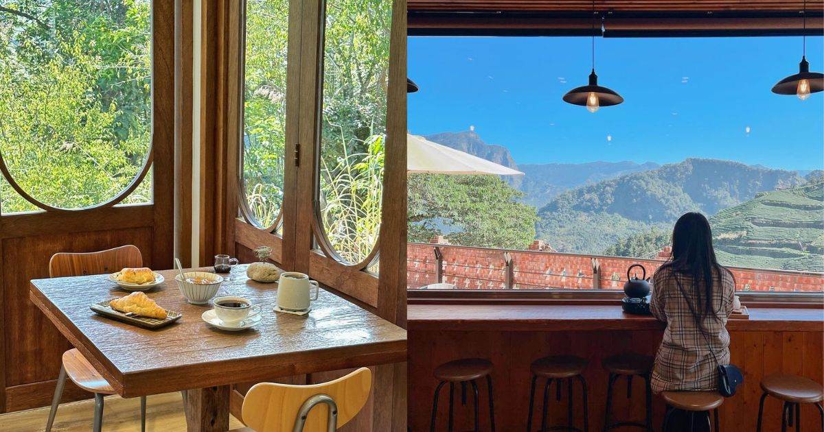 嘉義,阿里山,嘉義景觀餐廳,阿里山景觀餐廳,嘉義美食,阿里山美食,景觀餐廳,阿將的家,阿將的家23咖啡館,游芭絲鄒宴餐廳,原住民料理,旅人茶濃,阿里山茶,霧裡村喫茶會所,佐一茶屋,HANA廚房,清豐濤月,飛鼠咖啡,十字鳴心咖啡,空氣圖書館,山景,雲海,咖啡廳