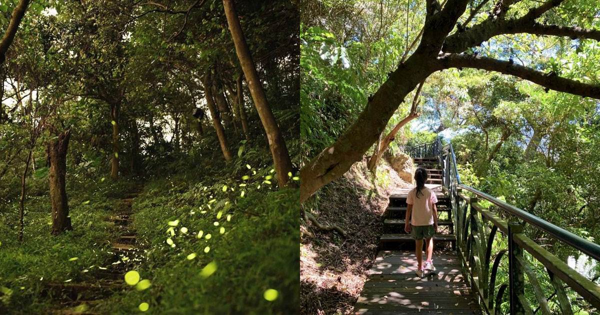 台北,新北,桃園,螢火蟲,虎山步道,南港,桂花吊橋步道,新店,和美山步道,汐止,新山夢湖步道,翠湖步道,龍潭,石門環湖步道,石門水庫,觀音洞步道,復興