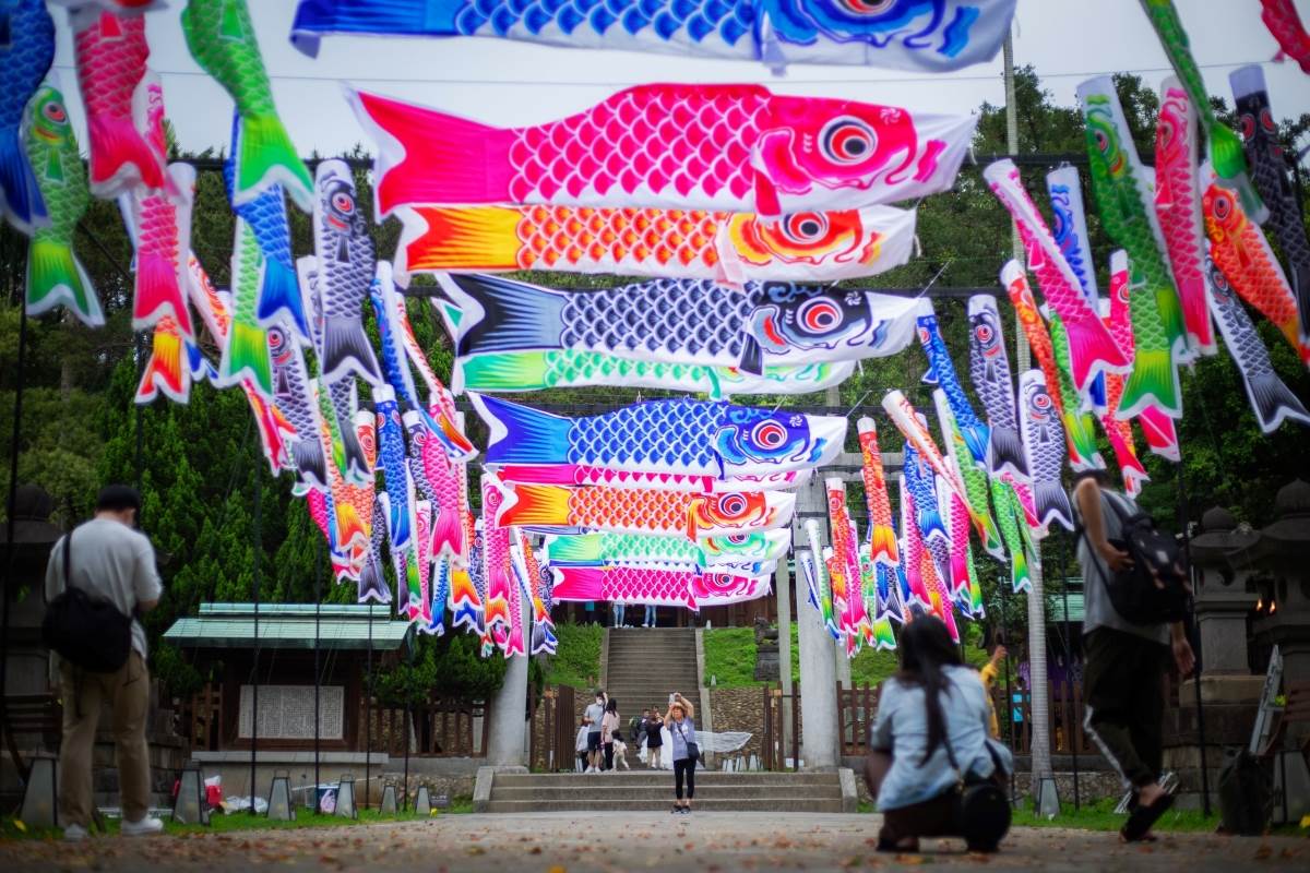 桃園,桃園神社,桃園神社文化園區,鯉魚流光祭,神社,桃園活動