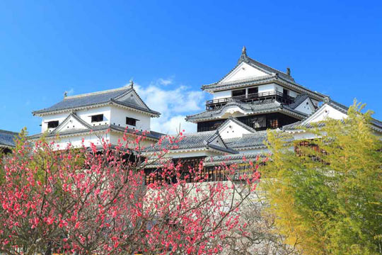 日本,日本景點,日本住宿,旅遊優惠,樂天旅遊,住宿優惠,松山新豪溫泉飯店,栗林公園,四國村,信用卡優惠