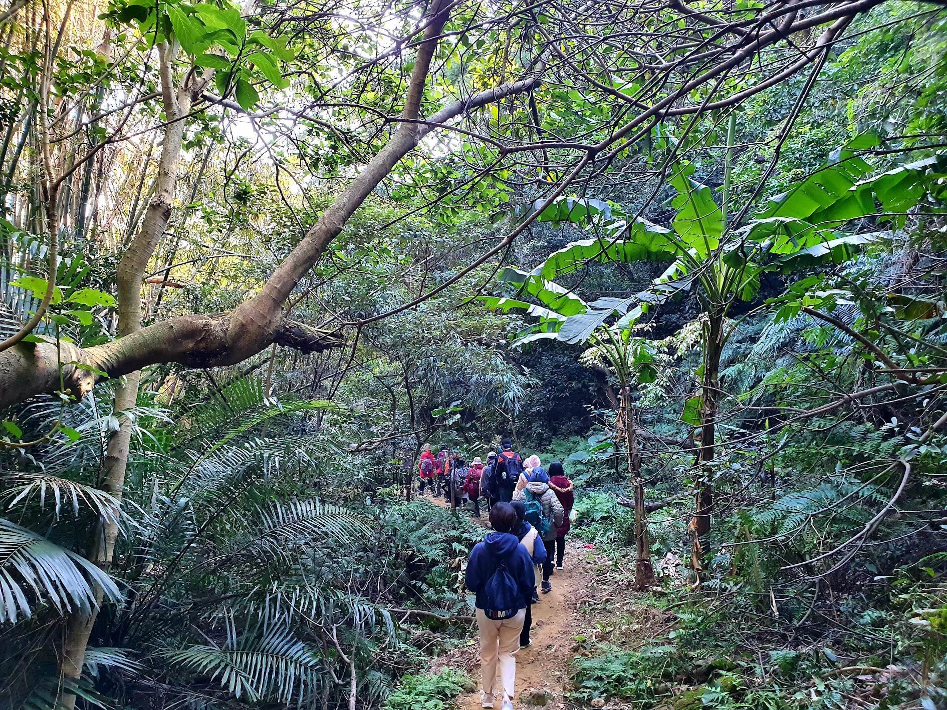 新北,微笑山線,新北步道,微笑山線大縱走,新北大縱走,山林旅遊