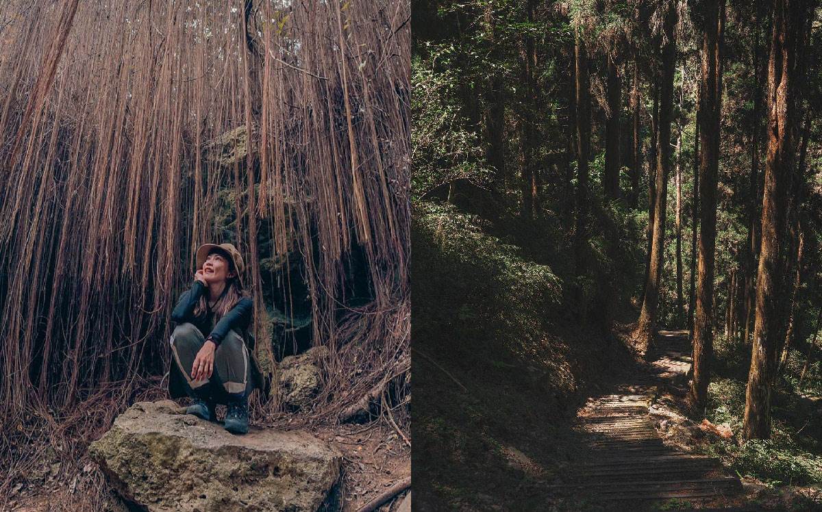 高雄|8座「小百岳」特輯:打卡浪漫紅色簾幕泰國谷,從稜線眺望高雄美景 高雄小百岳,泰國谷,西阿里關山,藤枝山,白雲山,鳴海山,旗尾山,高雄,小百岳,壽山,柴山,柴山步道,觀音山,大社觀音山步道,大崗山,一線天,大崗山步道,旗靈縱走,旗尾山步道,小林古道,⻄阿里關山步道,廍亭山,白雲山步道,東藤枝山,東藤枝山步道,高雄小百