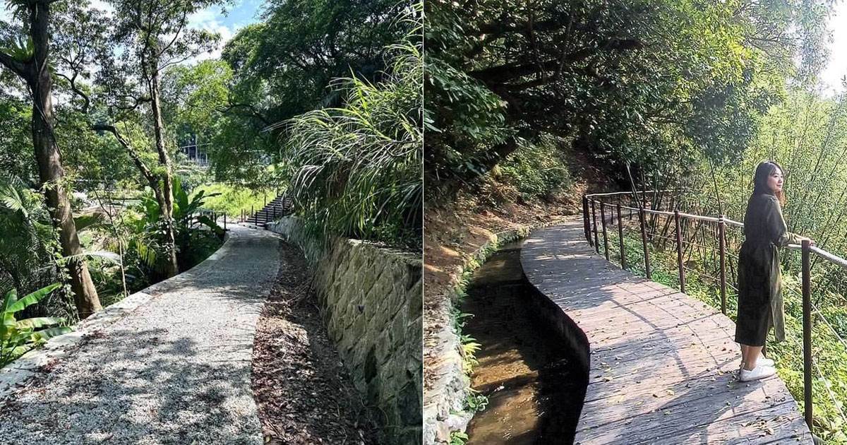 台北|貓空、士林、北投最新四條新手友善步道:俯瞰層疊水梯田和茶園、走訪百年古圳,輕鬆漫步山林間 貓空步道,士林步道,北投步道,陽明山,茶園,水梯田,百年古圳,鵝尾山水田步道,稻浪棧橋,半嶺水圳步道,松溪瀑布,觀景平台,紫明溪步道,貓空水土保持園區,台北最新步