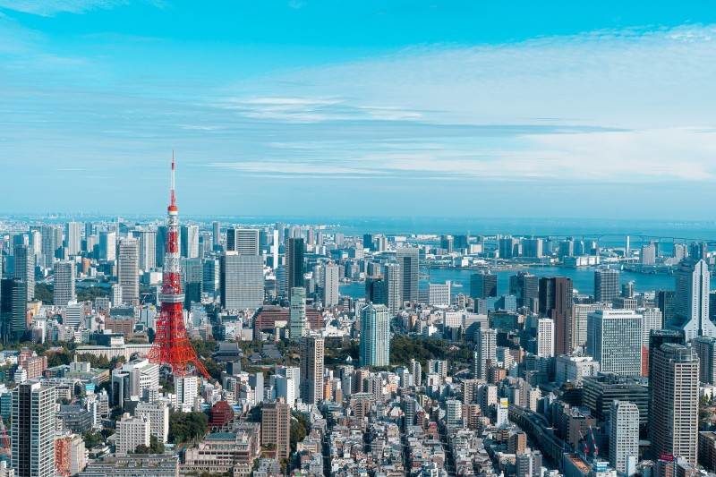 日本伴手禮,干貝糖,白色戀人,蜂蜜蛋糕,日本伴手禮推薦,日本下酒菜