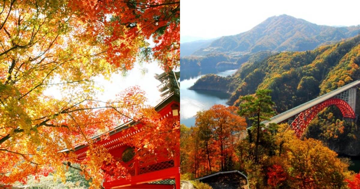 縮景園,廣島縣綠化中心,石谷峽,三景園,佛通寺,三段峽,今高野山,大野自然觀察之森,藏本大道,日本賞楓推薦