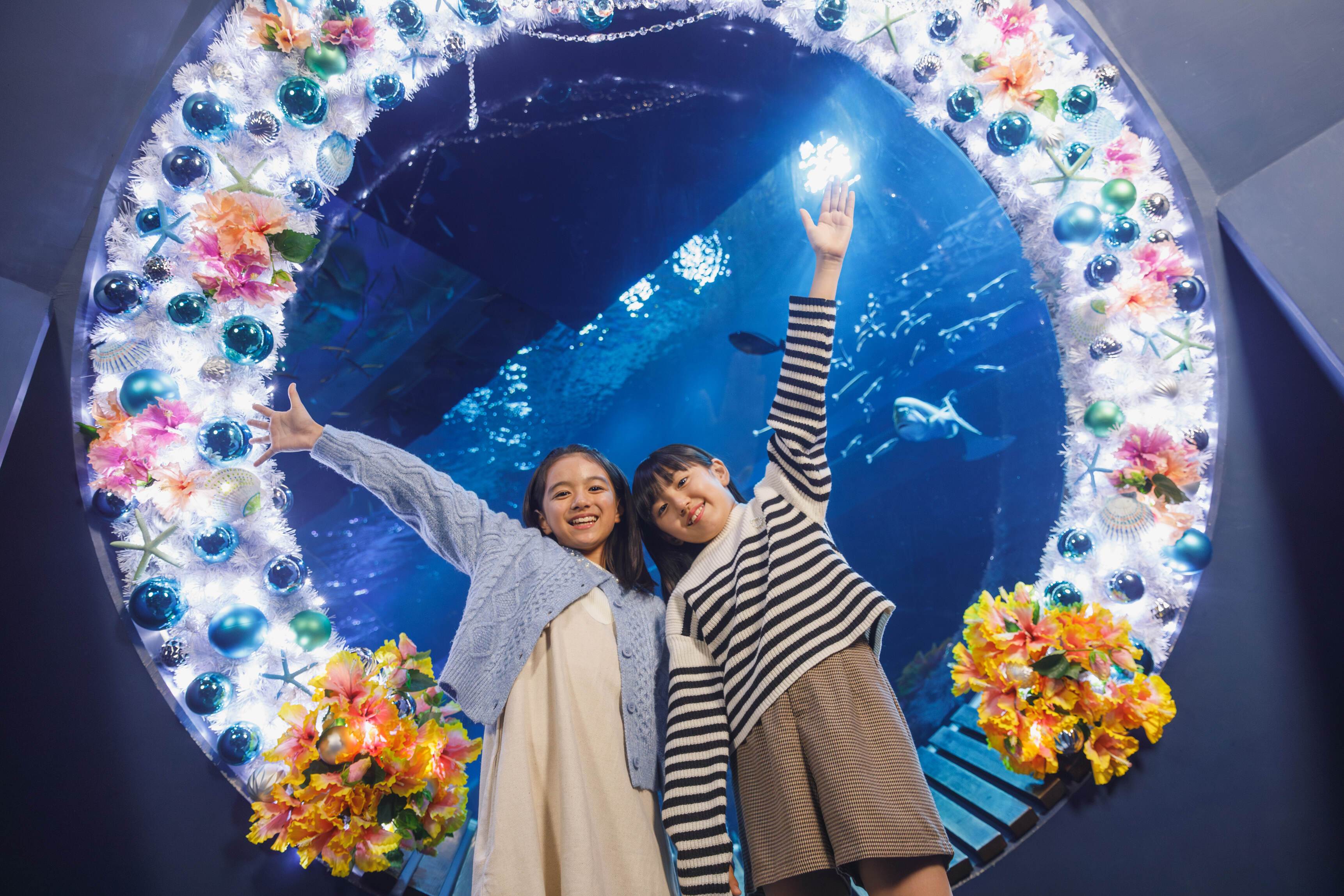 沖繩,DMM Kariyushi水族館,聖誕節,聖誕活動,日本景點,沖繩景點,沖繩水族館,日本聖誕節,沖繩聖誕節,沖繩聖誕活動,日本聖誕活動