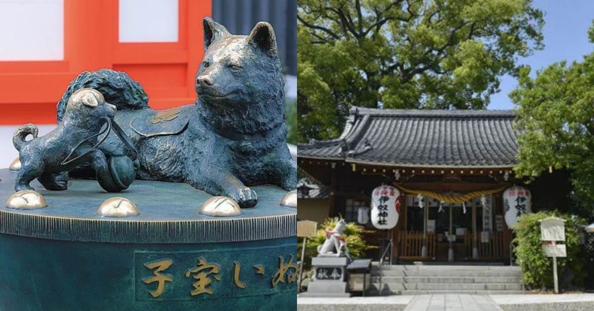 日本神社,水天宮,鴻神社,伊奴神社,日本景點,東京神社,埼玉神社,愛知神社