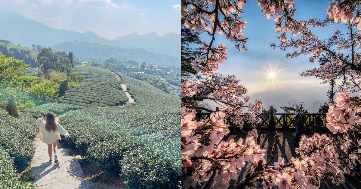 嘉義,阿里山,嘉義景點,阿里山景點,阿里山日出,日出,雲海,觀景台,祝山觀日平台,小笠原山觀景台,對高岳觀景平台,碧湖觀景台,巃頂步道,瑞峰1314觀景台,自忠觀日平台