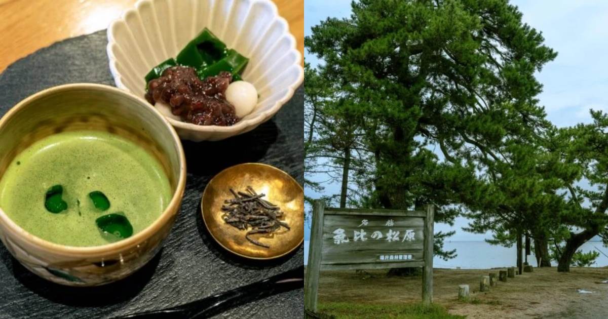 福井敦賀景點推薦,福井敦賀美食推薦,日本景點推薦,日本美食推薦,氣比神宮,Miko Cafe巫女咖啡,中道源藏茶舖,天清酒萬壽,奧井海生堂,咖啡和蛋糕 tuzu,金崎宮,敦賀紅磚倉庫,人道之港敦賀博物館,敦賀市立博物館,港敦賀山車會館,紙童資料館,Kitotenowa Cafe,晴明神社,敦賀歐洲軒,Donto屋,氣比的松原,小刀根隧道,敦賀交通方式,福井敦賀交通方式