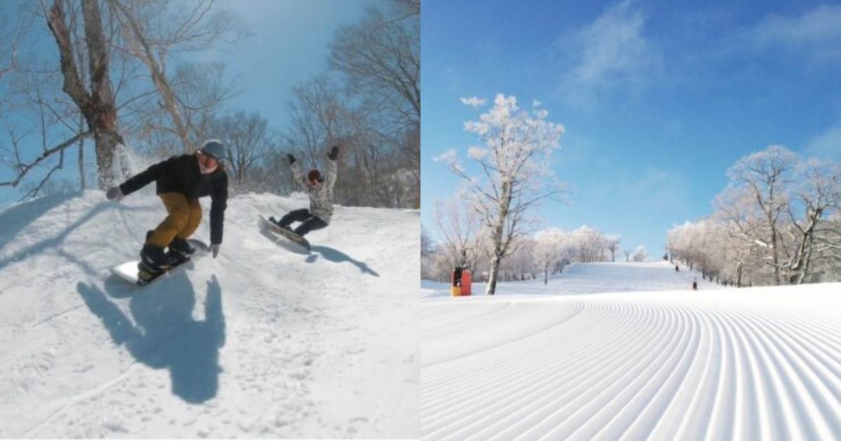 日本滑雪場,Meiho滑雪場,日本滑雪推薦