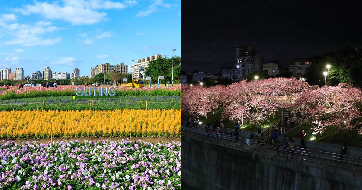 台北春節賞花,台北春節踏青,台北花海,台北花季,古亭河濱公園花海,大溝溪花海,大溝溪生態治水園區,樟樹步道花海,魯冰花海,三層崎花海,三層崎公園,樂活夜櫻季,東湖櫻花,樂活公園,陽明山花季,陽明公園,士林官邸,士林官邸鬱金香展