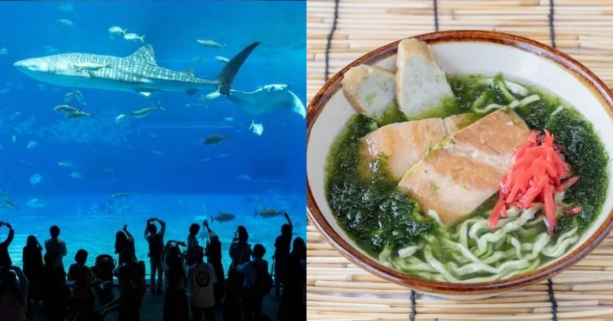 Bios之丘,沖繩東方酒店渡假村及水療中心,美麗海水族館,浦添西海岸PARCO CITY購物中心,沖繩景點推薦,沖繩美食推薦