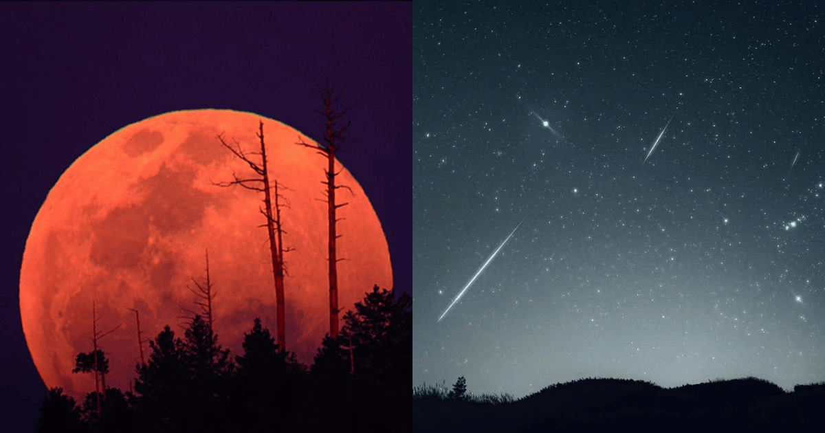 2025必看天象!流星雨、月全蝕,時間、拍攝技巧、觀賞地點一次看! 2025天象,流星雨,月全蝕,觀星景點