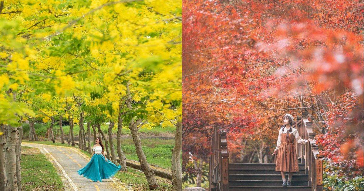 花季地圖,賞花攻略,賞花,台灣花季