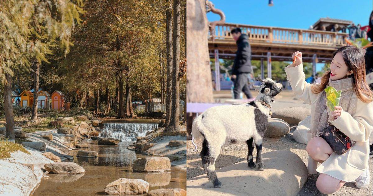 南投,南投景點,南投農場,親子農場,動物農場