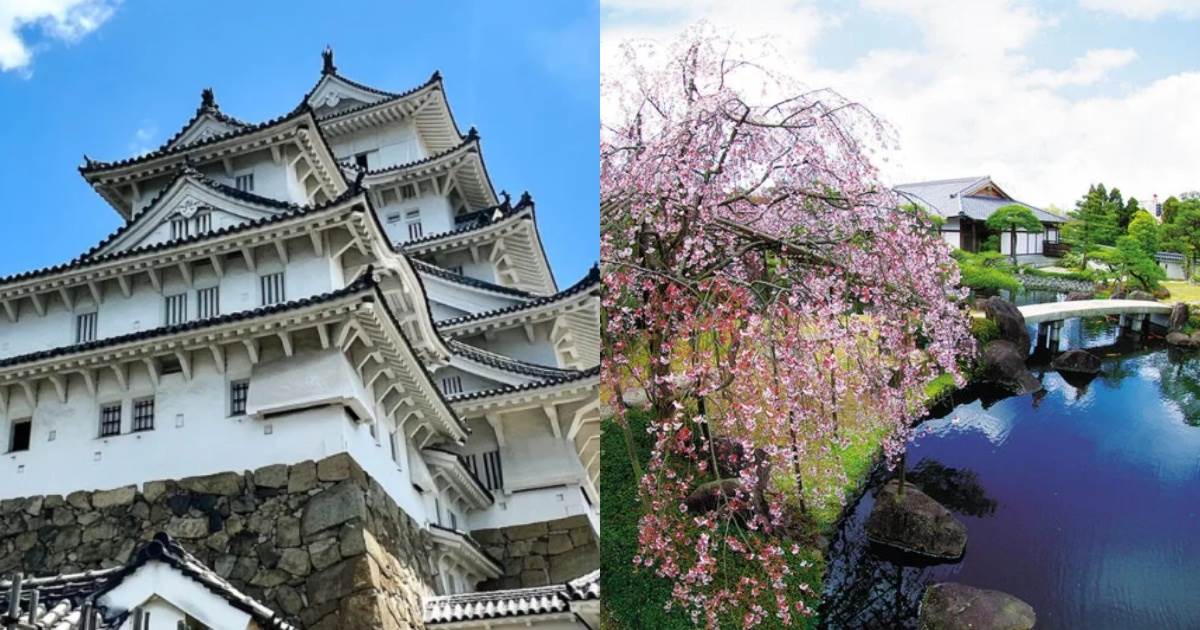 日本姬路城亮點介紹!票價資訊、注意事項、周邊順遊景點一次看 日本景點推薦,姬路城