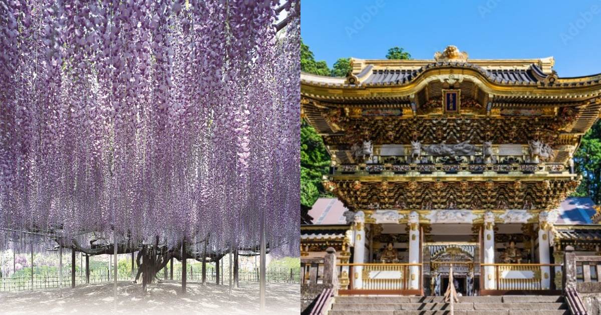 栃木,景點