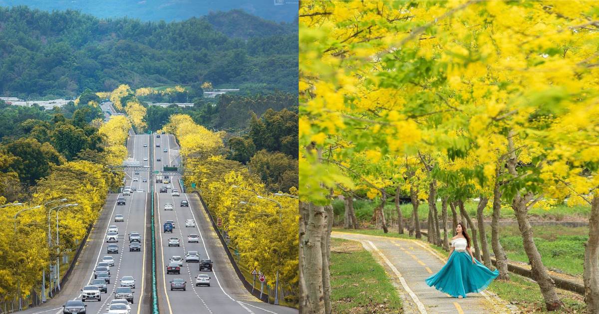 阿勃勒景點,蒜鰲自行車道,雲林,聯美大橋,台南,白河,蓮鄉自行車道,屏東,榮譽國民之家,高雄,九如四路,大山宮,台84縣快速公路,山海圳自行車道,阿勃勒步道,黃金雨,阿勃勒花道,蘇林里河堤公園,山海圳綠隧九份子段,九如四路阿勃勒步道,曹公圳溪濱公園