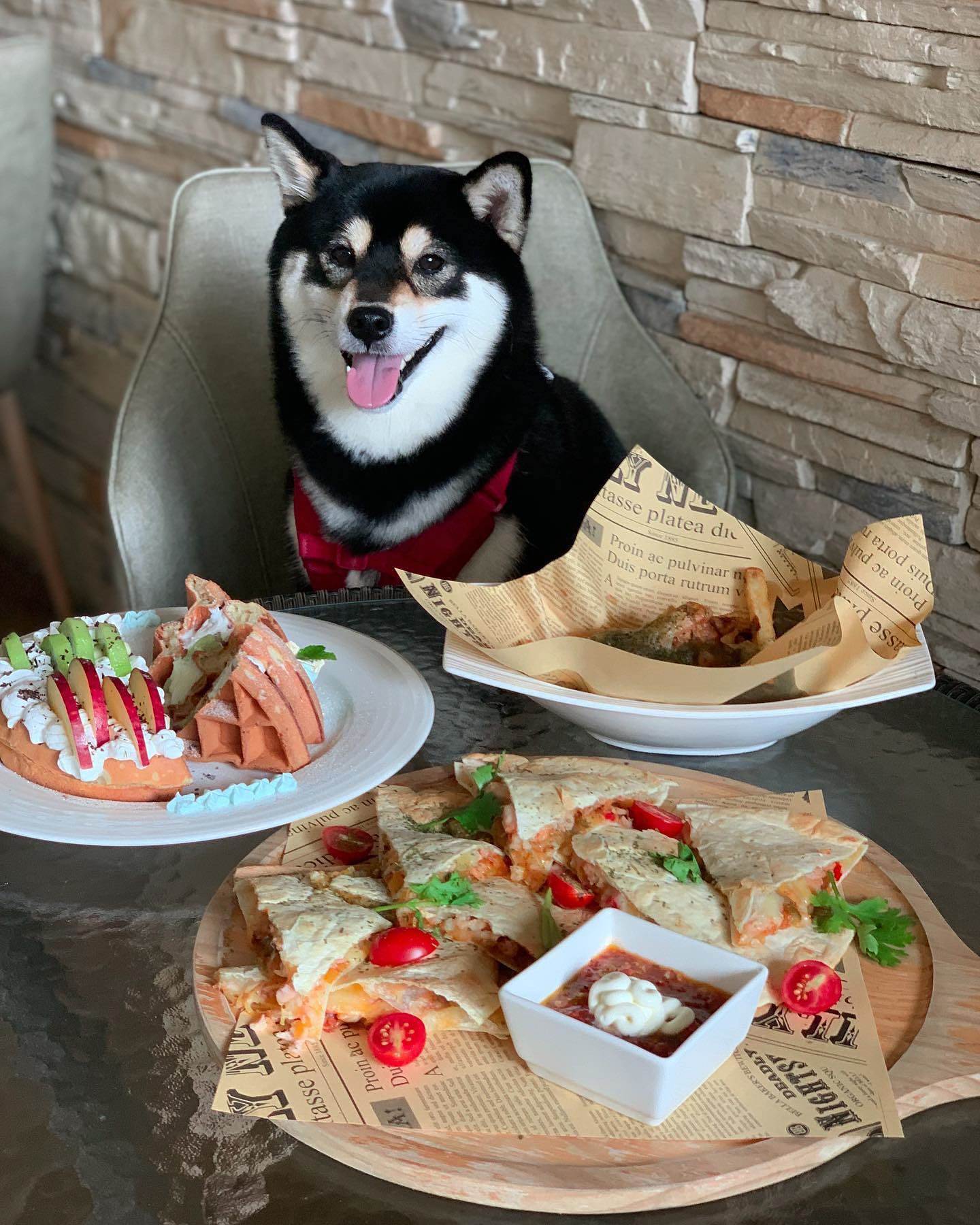 土城景點一日遊推薦｜水豚咖啡廳還有賞桐景點，在地人推薦名單公開-輕旅行