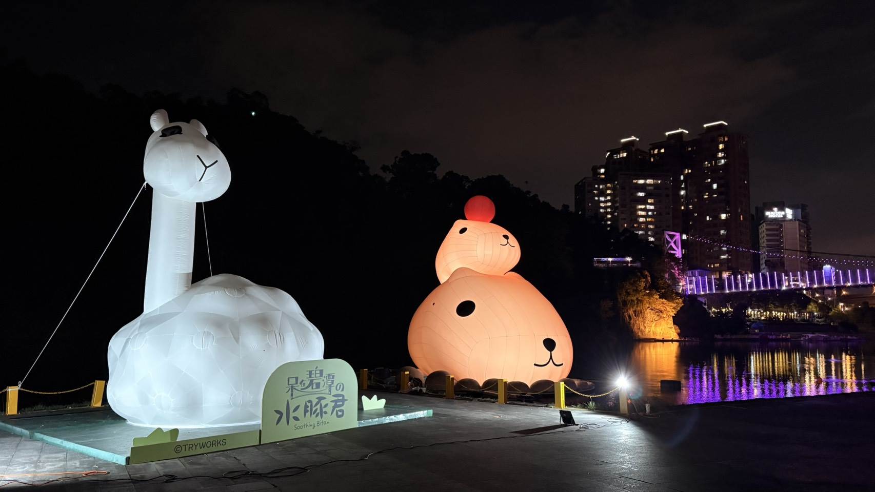 呆在碧潭の水豚君11/1可愛登場!12米水豚君亮相,活動亮點一次看! ,,