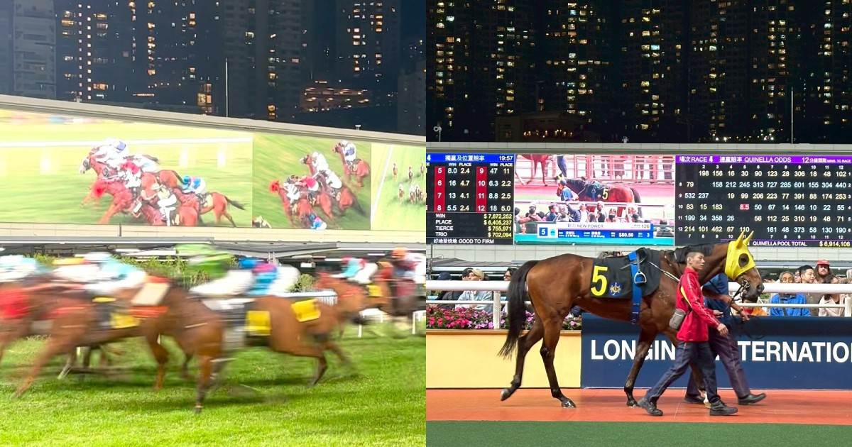 香港新手賽馬攻略|賽馬玩法、投注方式、賽馬場推薦一次看 香港賽馬,香港旅遊,新手賽馬,沙田馬場,跑馬地馬場