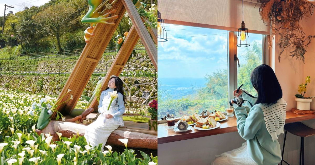 陽明山一日遊推薦|精選海芋季5景點,最美咖啡廳、白色花海一次收齊 ,,