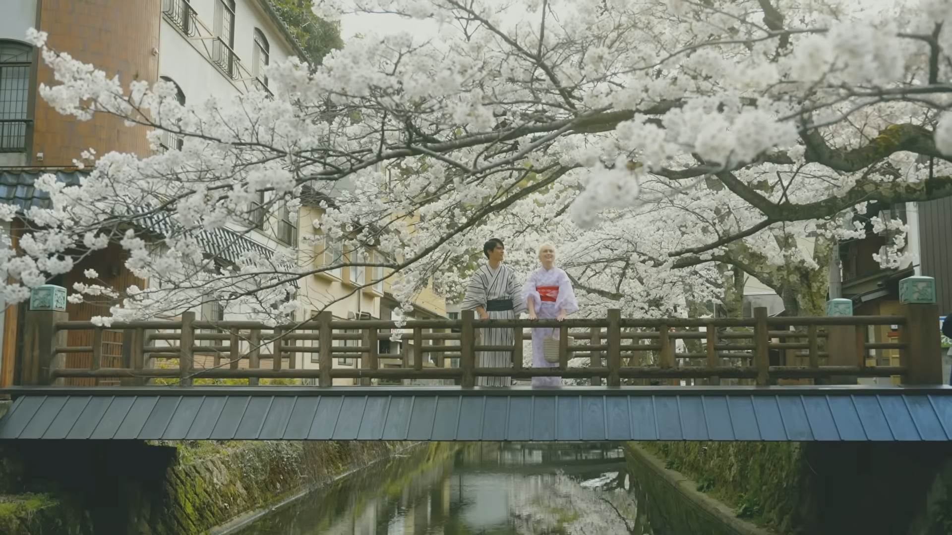 城崎溫泉春季景點推薦:賞櫻、採草莓、夕陽百選必看! ,,