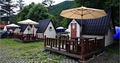 台中【武陵農場】夏日露營透沁涼與山上烤肉樂