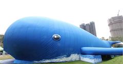 台北展覽｜巨大鯨魚出沒萬華青年公園！「潛水冠軍」抹香鯨要在台北跟大家見面啦～